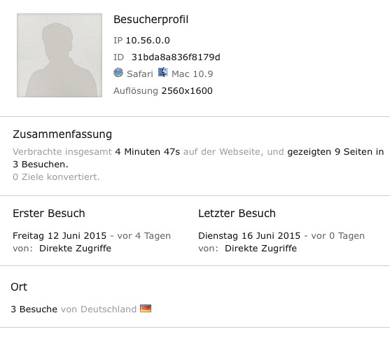 Screenshot: Besucherprofil des Webanalyse-Werkzeugs Piwik