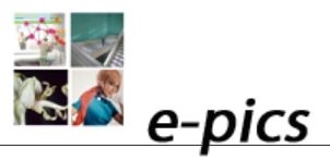 Screenshot http://ba.e-pics.ethz.ch