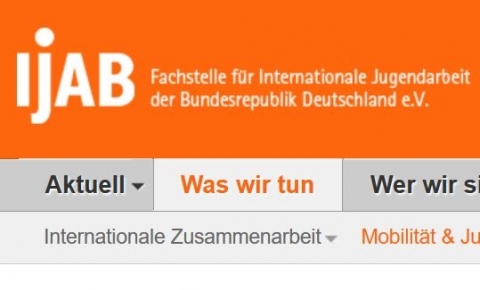 Screenshot www.ijab.de