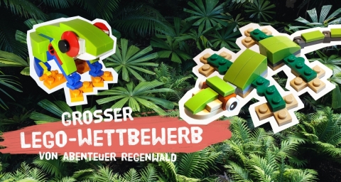 Teaserbild Wettbewerb Abenteuer Regenwald