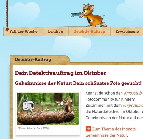 Screenshot naturdetektive.de