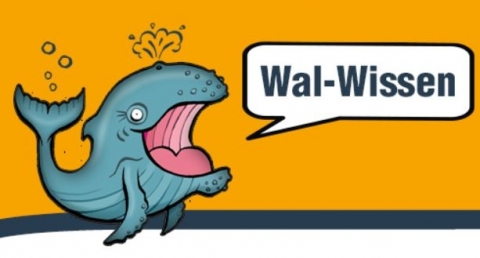 Wal-Wissen Screenshot http://wale.org